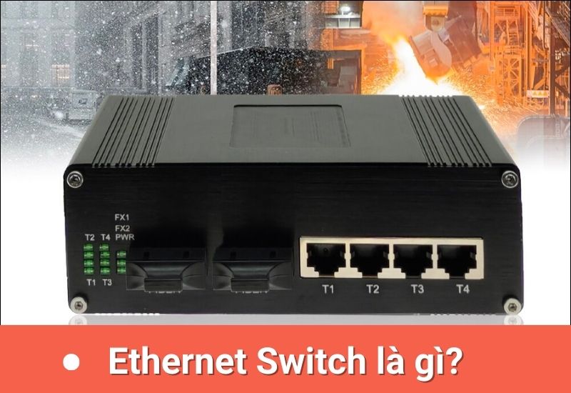 Ethernet Switch là gì? Đặc điểm, chức năng, các loại Ethernet Switch