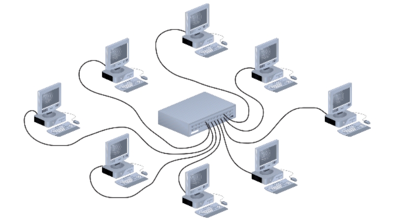 Các thiết bị máy tính được kết nối thông qua một bộ kết nối tập trung như Hub hoặc Switch