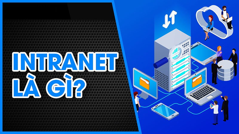 Mạng Intranet là gì? Sự khác biệt giữa Extranet và Intranet là gì?