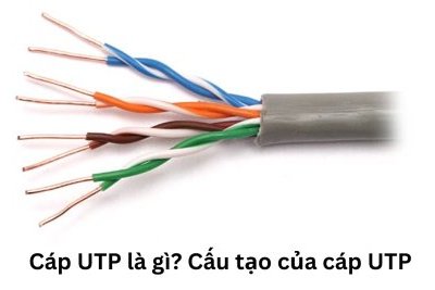 Cáp UTP là gì? Cấu tạo của cáp UTP