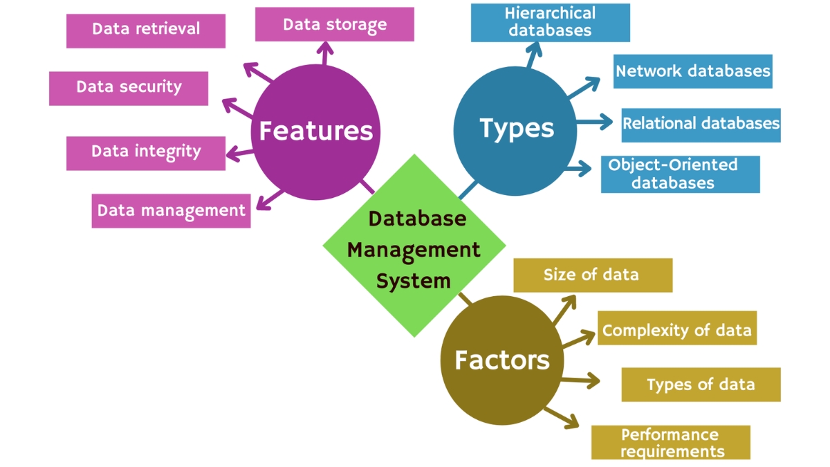 Vai trò và tính năng của hệ quản trị cơ sở dữ liệu