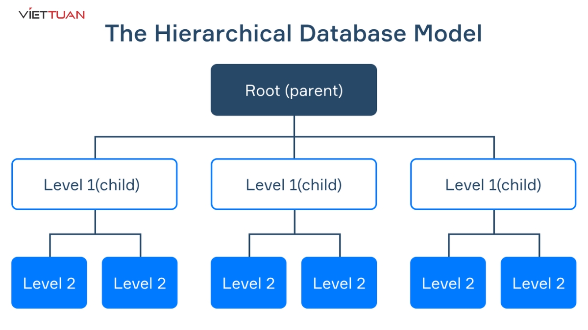 mô hình cơ sở dữ liệu phân cấp lưu trữ dữ liệu theo cấu trúc cây.