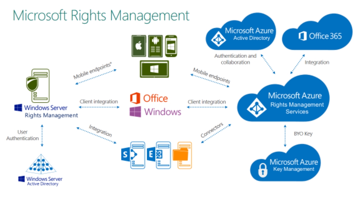 Rights Management Services được phát triển bởi Windows Server 