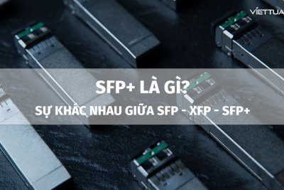 SFP+ là gì? Sự khác nhau giữa SFP, SFP+ và XFP