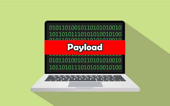 Payload là gì? Phân biệt Payload gói dữ liệu và Payload Malware