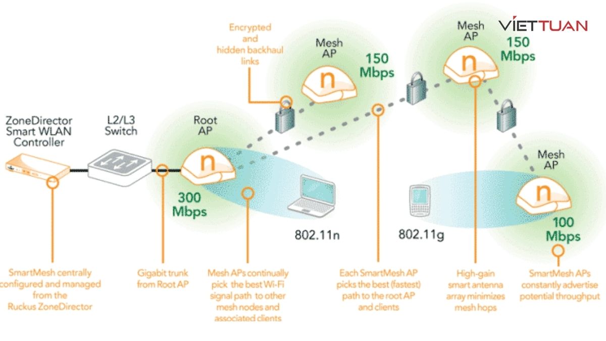 cấu trúc liên kết mạng nội bộ thông qua các node mạng được kết nối trực tiếp với nhau