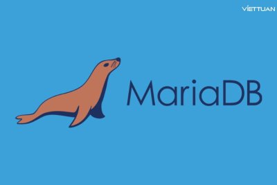 MariaDB là gì? Cách cài đặt và kết nối MariaDB trên Windows