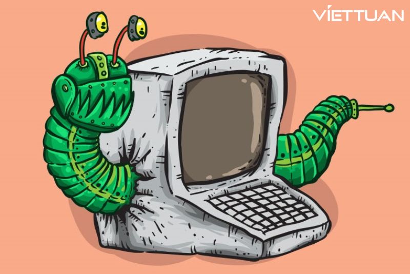 Worm máy tính là gì? Cách nhận biết và ngăn chặn Worm máy tính