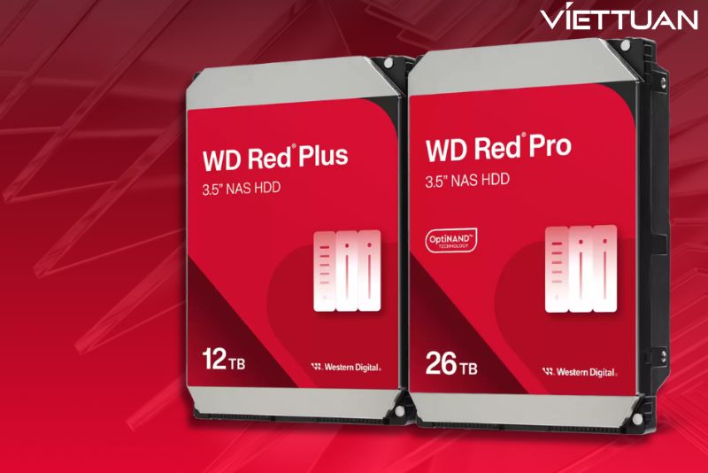So sánh ổ cứng WD Red Plus với WD Red Pro: Lựa chọn ổ cứng tối ưu cho hệ thống RAID  